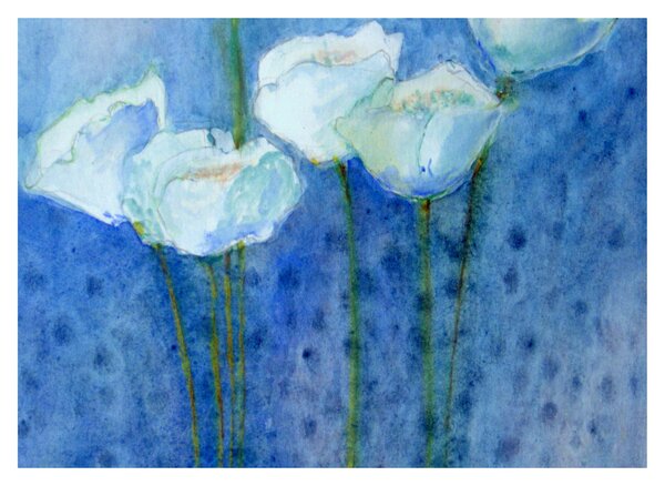 Kép - fehér tulipán (70x50 cm)
