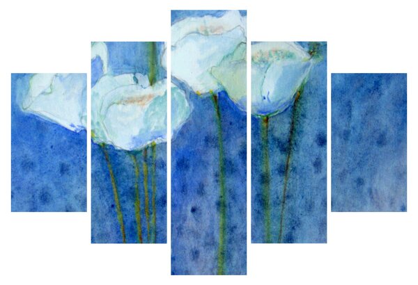 Kép - fehér tulipán (150x105 cm)