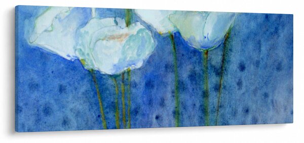 Kép - fehér tulipán (120x50 cm)