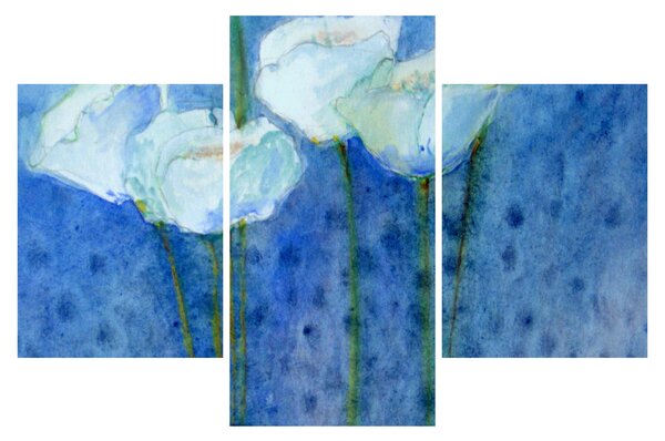 Kép - fehér tulipán (90x60 cm)
