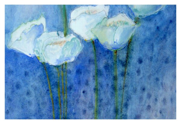 Kép - fehér tulipán (90x60 cm)