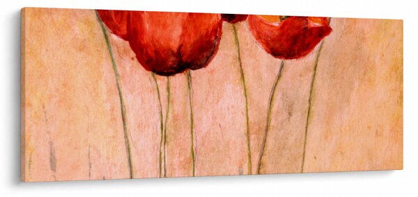 Kép - piros tulipán (120x50 cm)