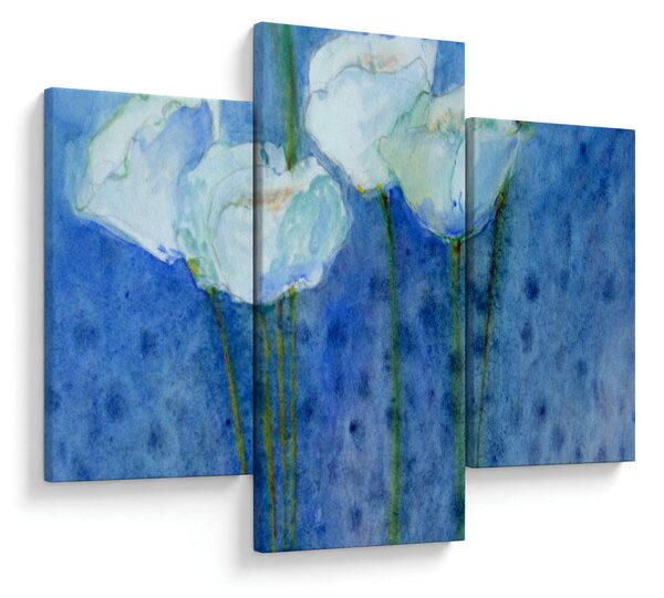 Kép - fehér tulipán (90x60 cm)