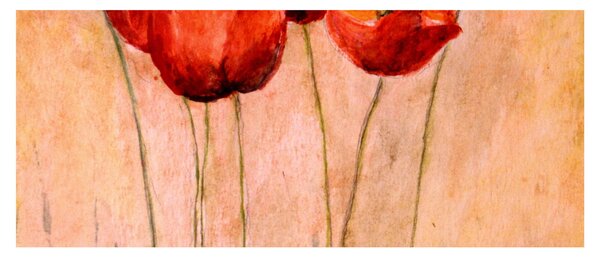 Kép - piros tulipán (120x50 cm)