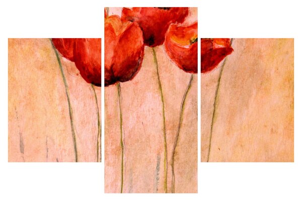 Kép - piros tulipán (90x60 cm)