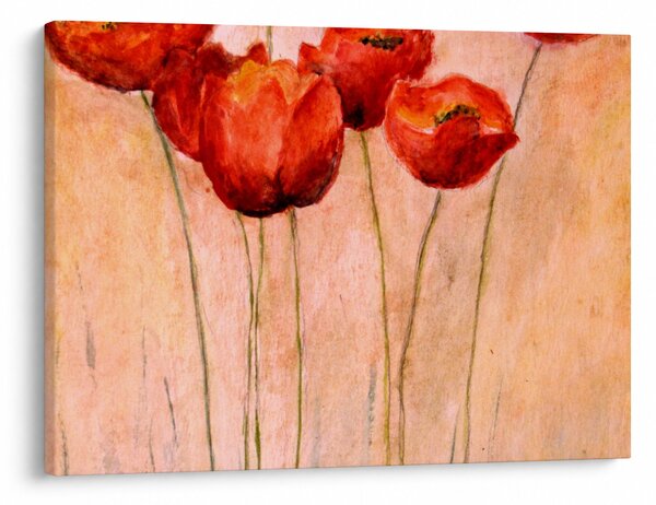 Kép - piros tulipán (70x50 cm)