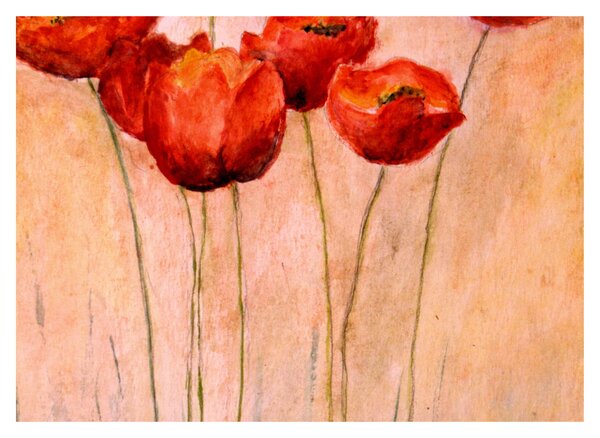 Kép - piros tulipán (70x50 cm)