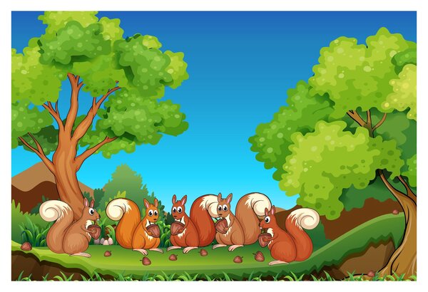 Kép - boldog mókusok (90x60 cm)