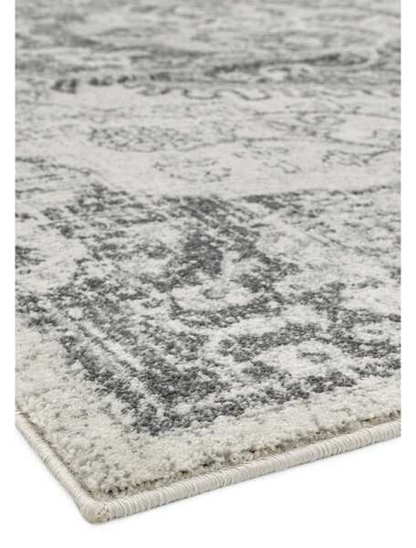 Szürke-krémszínű szőnyeg 160x230 cm Nova – Asiatic Carpets
