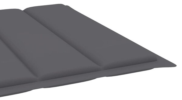 Tömör akácfa kerti napozóágy párnával