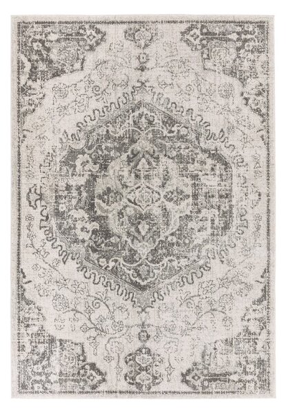 Szürke-krémszínű szőnyeg 160x230 cm Nova – Asiatic Carpets