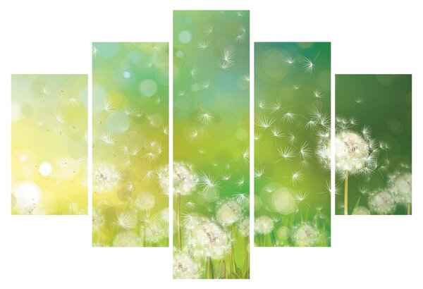 Kép - Virágozatlan pitypang (150x105 cm)