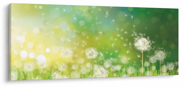 Kép - Virágozatlan pitypang (120x50 cm)