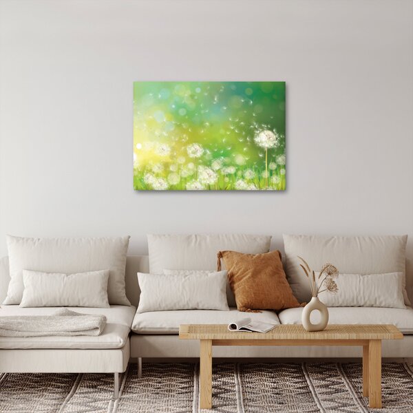 Kép - Virágozatlan pitypang (70x50 cm)