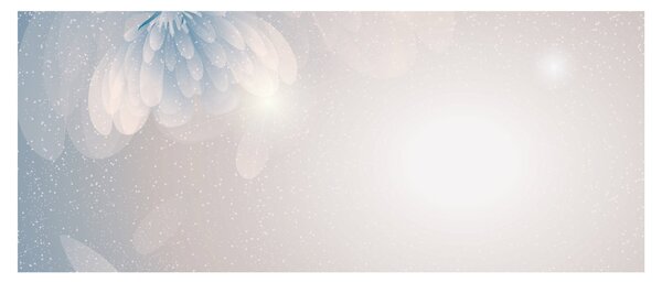 Kép - havas virágok (120x50 cm)