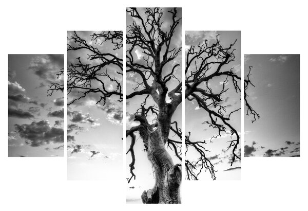 Kép - fekete fehér fa (150x105 cm)