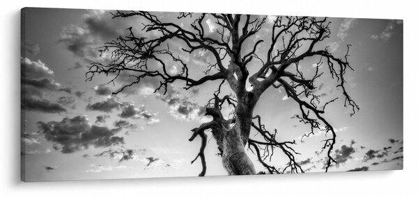 Kép - fekete fehér fa (120x50 cm)