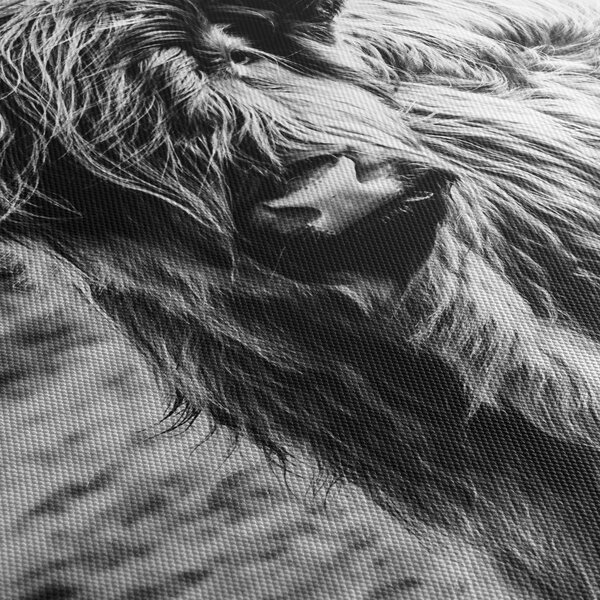 Kép - Highland - skót tehén (90x60 cm)