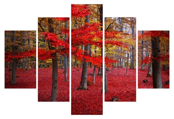 Kép - vörös erdő (150x105 cm)