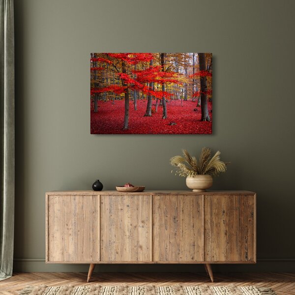 Kép - vörös erdő (90x60 cm)