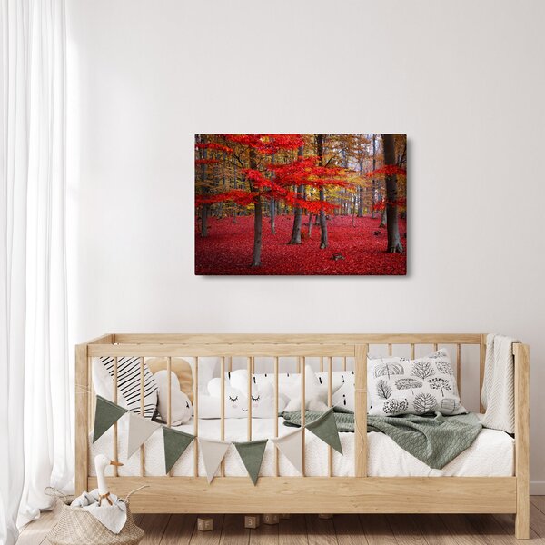 Kép - vörös erdő (90x60 cm)