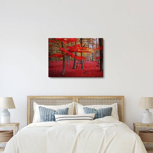 Kép - vörös erdő (70x50 cm)