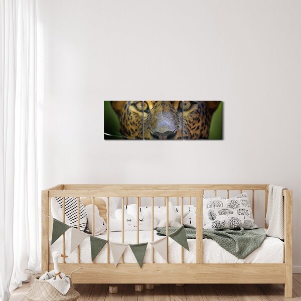 Kép - Leopárd portré, Sri Lanka (órával) (90x30 cm)