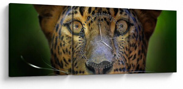 Kép - Leopárd portré, Sri Lanka (órával) (90x30 cm)