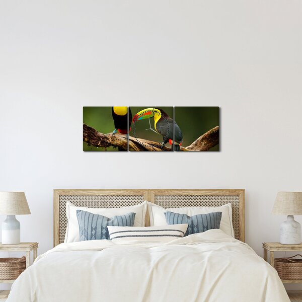 Ülő tukánok képe, Costa Rica (órával) (90x30 cm)