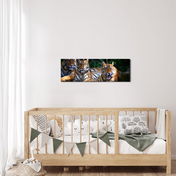 Kép - Tigris testvérek (órával) (90x30 cm)