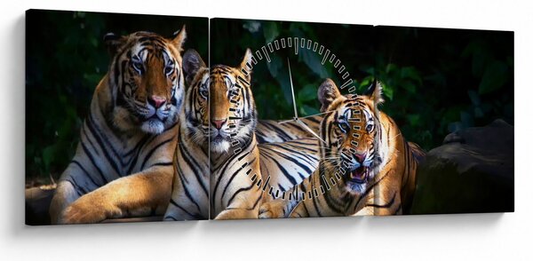 Kép - Tigris testvérek (órával) (90x30 cm)