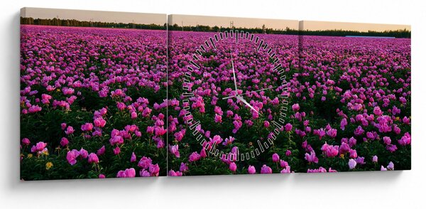 Kép - lila tulipánok rétje (órával) (90x30 cm)