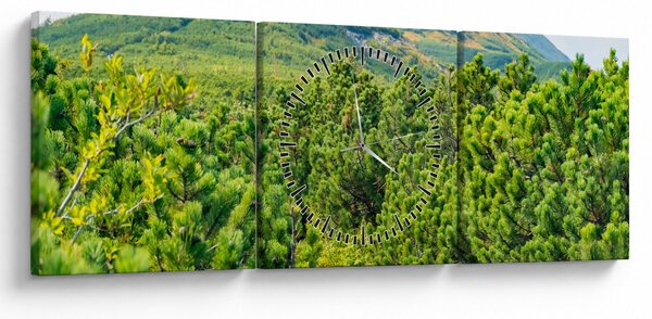 Kép - Babi Hora, Lengyelország (órával) (90x30 cm)