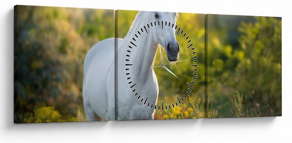 Egy fehér ló képe a réten (órával) (90x30 cm)