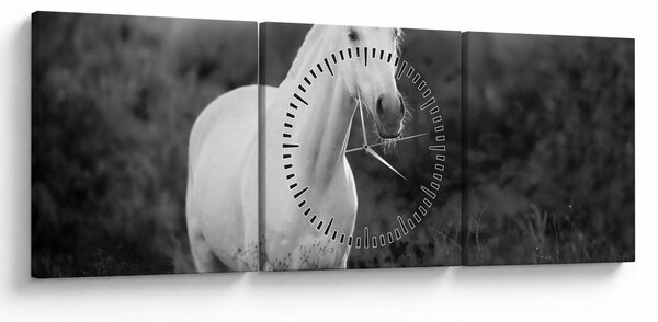 Egy fehér ló képe egy réten, fekete-fehér (órával) (90x30 cm)