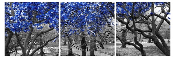 Kép - Kék fák, Central Park, New York (órával) (90x30 cm)