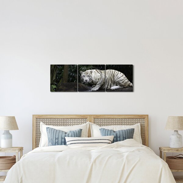 Kép - albínó tigris (órával) (90x30 cm)