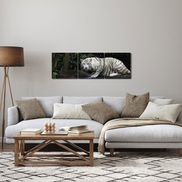 Kép - albínó tigris (órával) (90x30 cm)