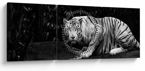 Kép - albínó tigris, fekete-fehér (órával) (90x30 cm)