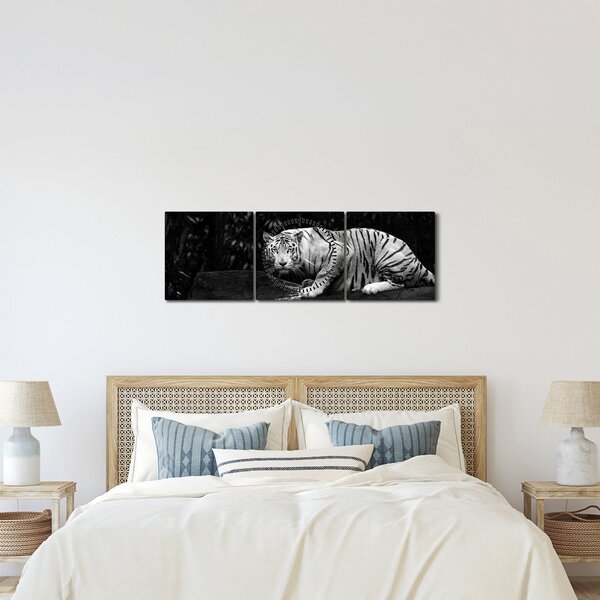 Kép - albínó tigris, fekete-fehér (órával) (90x30 cm)