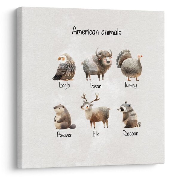 Kép amerikai állatok illusztrációja