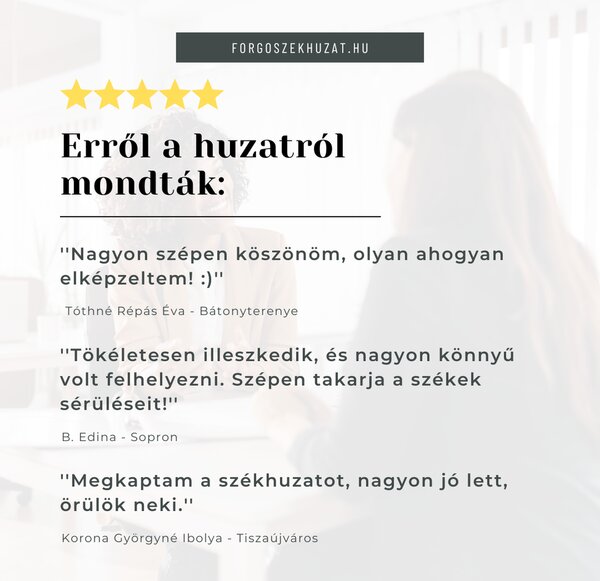 SzékHuzat JYSK HAVNDAL étkezőszékre (sötétzöld)