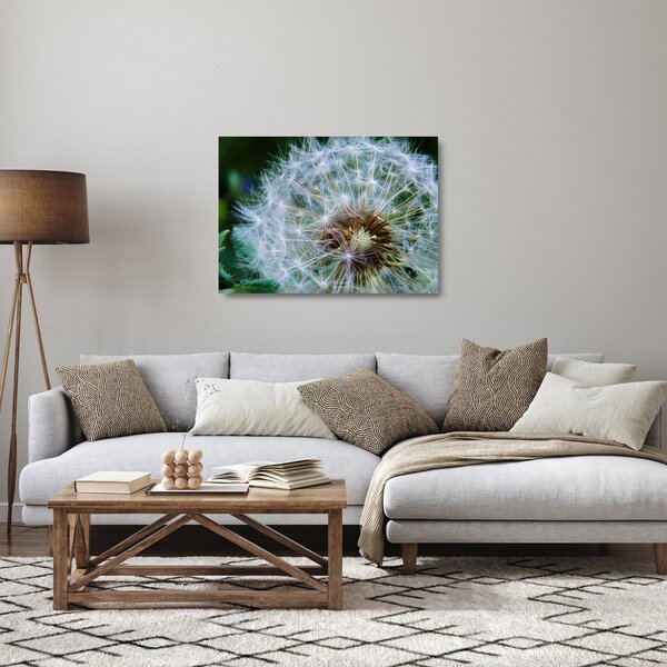 Elvirágzott pitypang képe (üvegen) (70x50 cm)