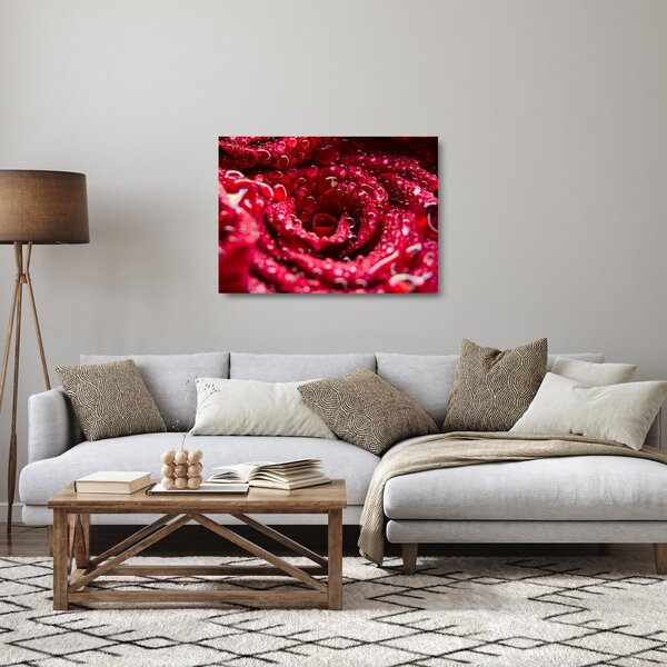 Vörös rózsa virágzata képe (üvegen) (70x50 cm)