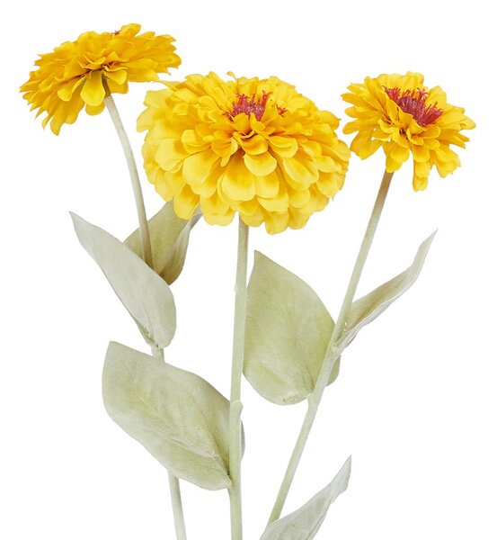 FLORISTA rézvirág, citromsárga