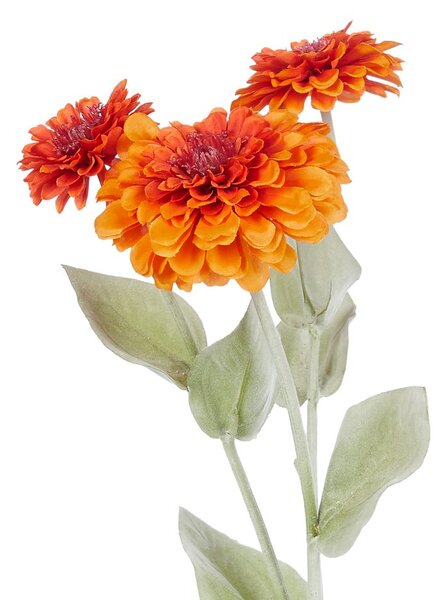 FLORISTA rézvirág, narancssárga