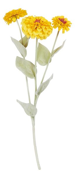 FLORISTA rézvirág, citromsárga