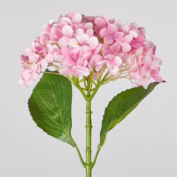 FLORISTA hortenzia, rózsaszín 67 cm