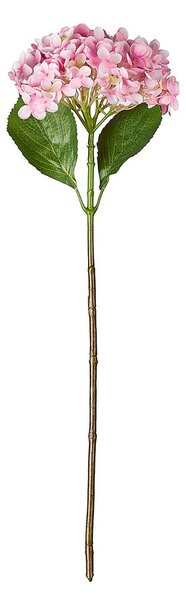 FLORISTA hortenzia, rózsaszín 67 cm