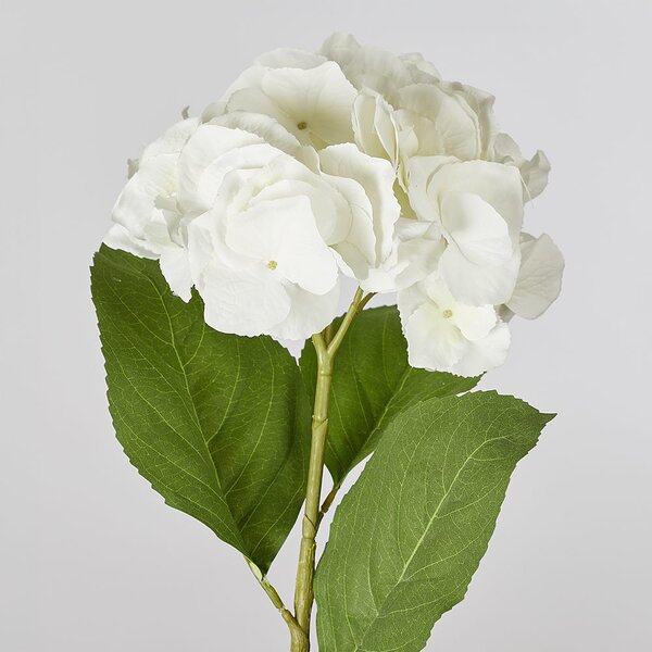 FLORISTA hortenzia, fehér 62 cm
